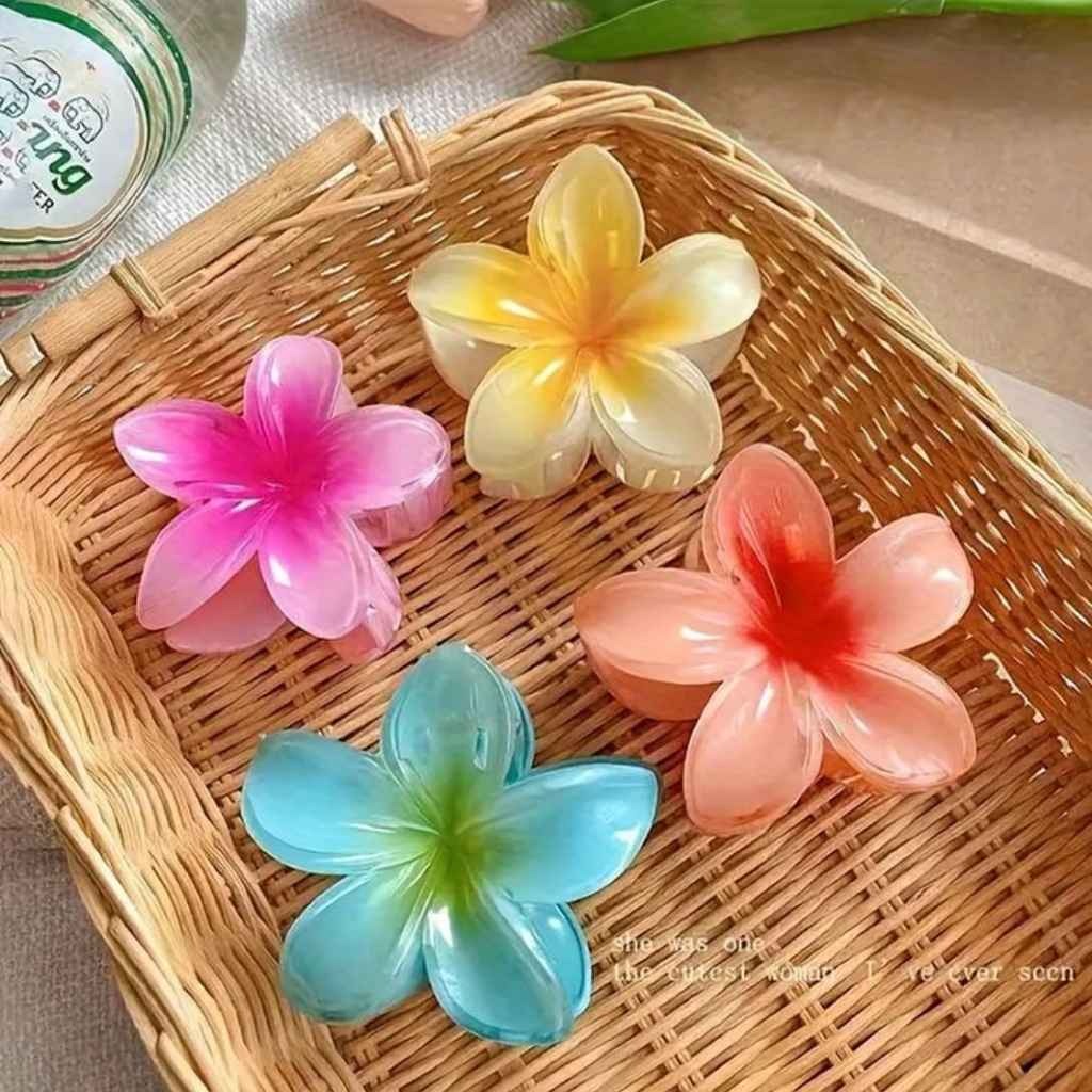 Trending hair clips (moq 12 nos)